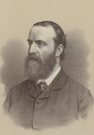 Charles Stewart Parnell, irischer nationalistischer politischer Führer, Landreformagitator und Gründer und Führer der Irish Parliamentary Party von English School